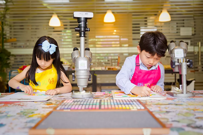 藝術(shù)教育 藝術(shù)教育