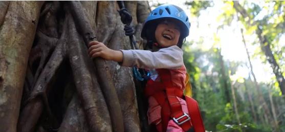 藝術(shù)+學(xué)科